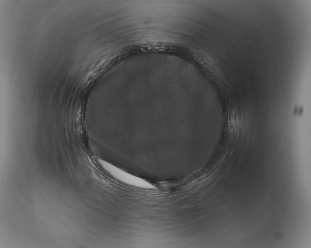 X0000111651060200908071402