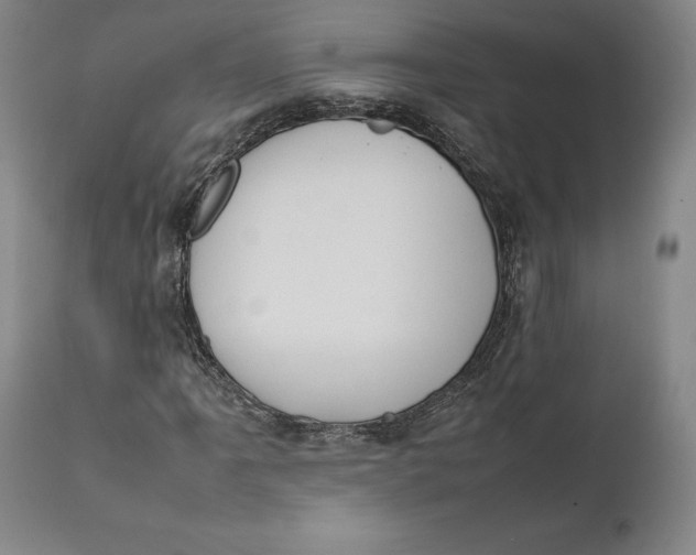 X0000111651061200908071402