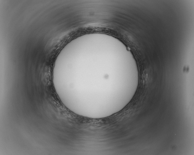 X0000111651062200908071402