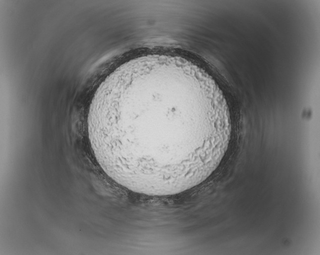 X0000111651063200908071402