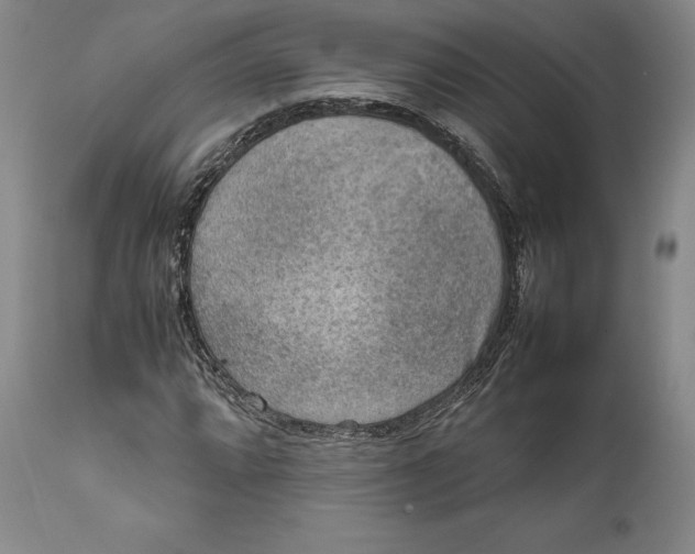 X0000111651064200908071402
