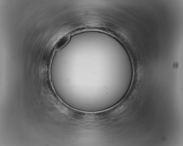 X0000111651065200908071402