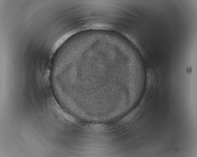 X0000111651066200908071402