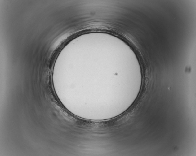 X0000111651067200908071402
