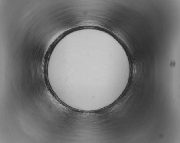 X0000111651068200908071402