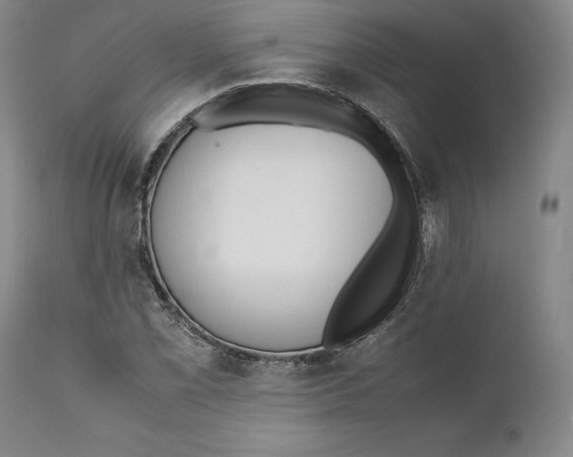 X0000111651069200908071402