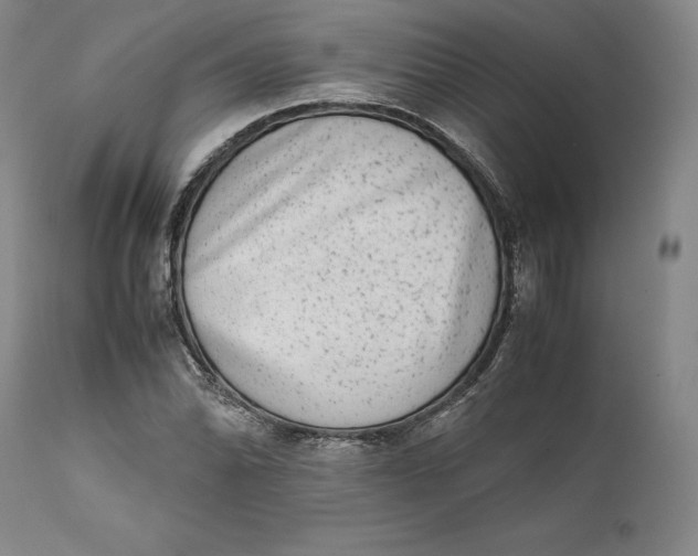 X0000111651070200908071402