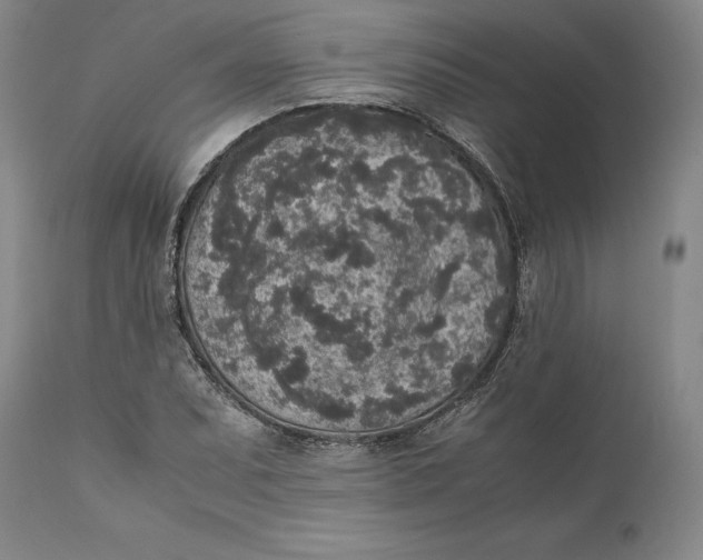 X0000111651071200908071402