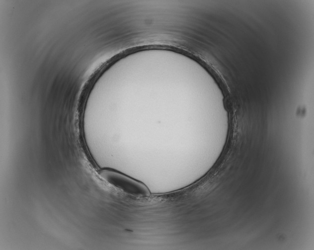 X0000111651072200908071402