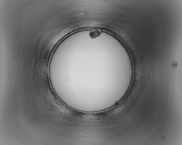 X0000111651073200908071402
