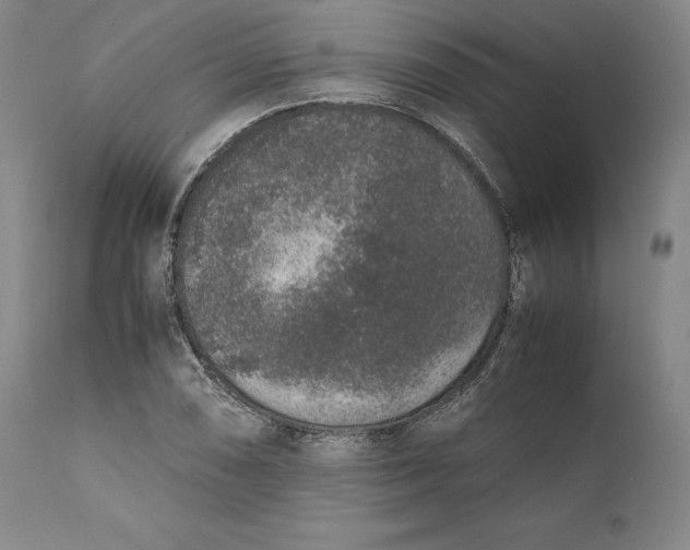 X0000111651074200908071402