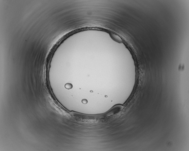 X0000111651076200908071402