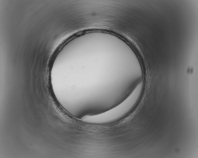 X0000111651077200908071402