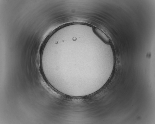X0000111651080200908071402