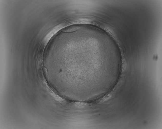 X0000111651081200908071402