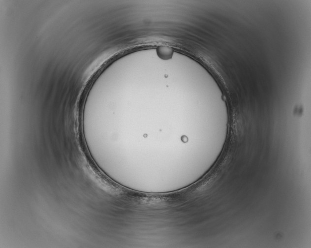 X0000111651082200908071402