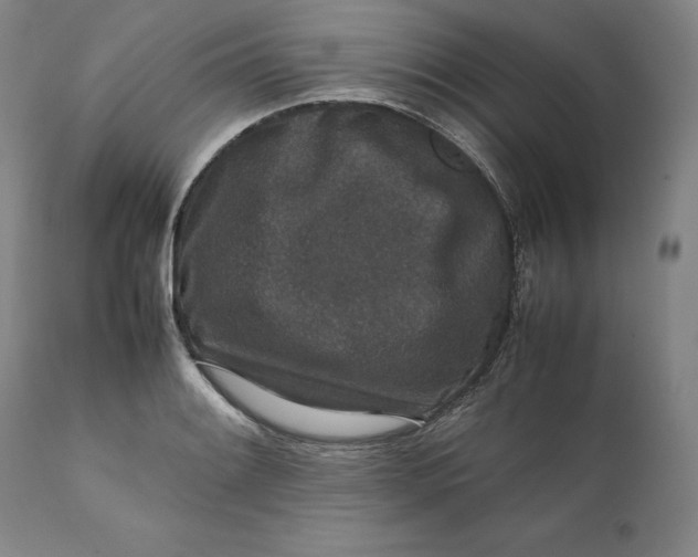 X0000111651084200908071402