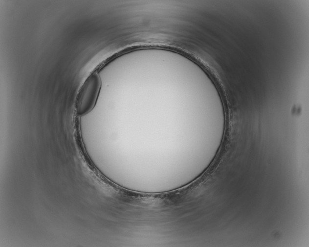 X0000111651085200908071402