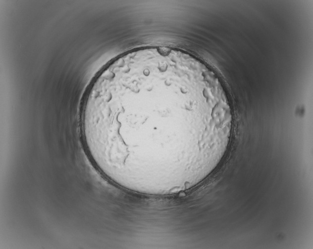 X0000111651087200908071402