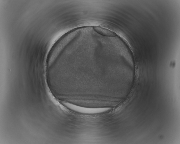 X0000111651088200908071402