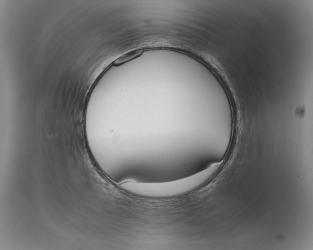 X0000111651089200908071401