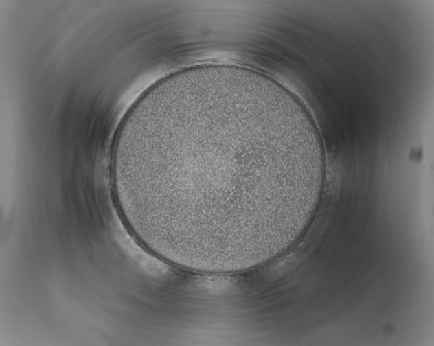 X0000111651090200908071401