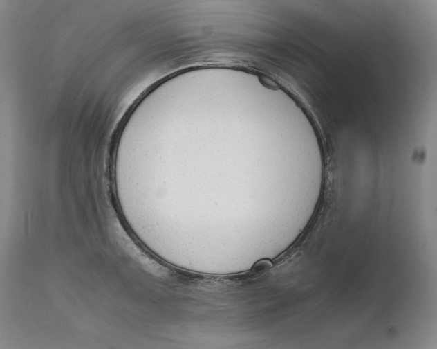 X0000111651091200908071401