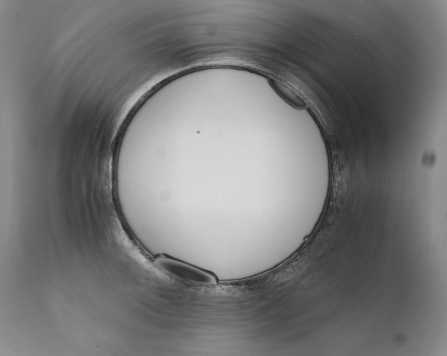 X0000111651092200908071401