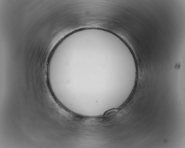 X0000111651093200908071401