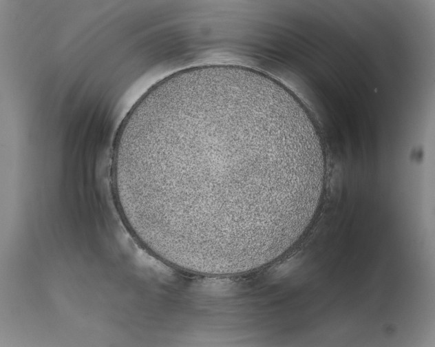 X0000111651094200908071401