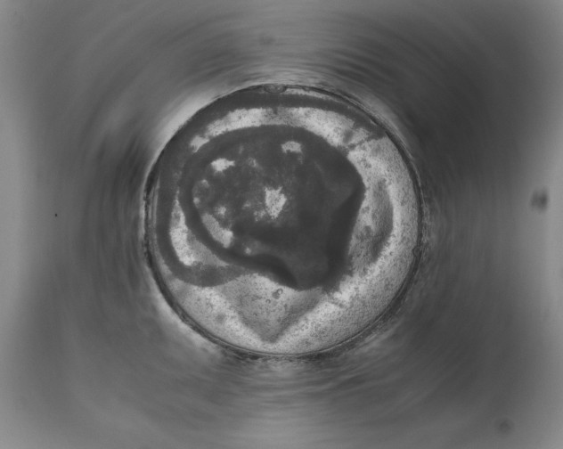 X0000111651095200908071401