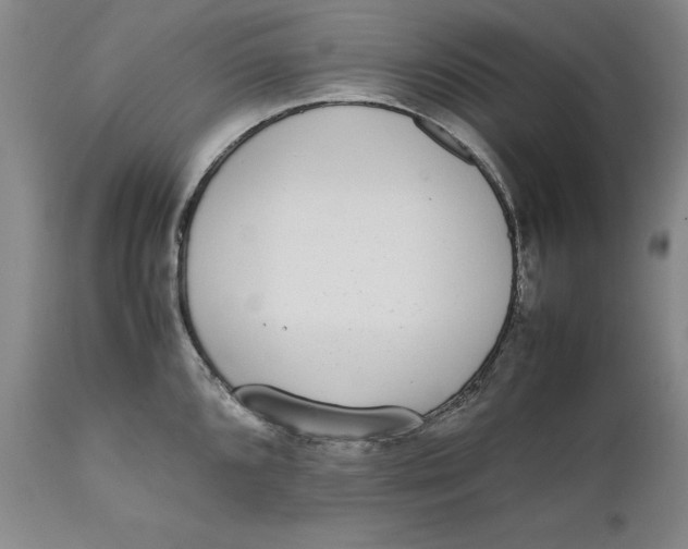 X0000111651096200908071401