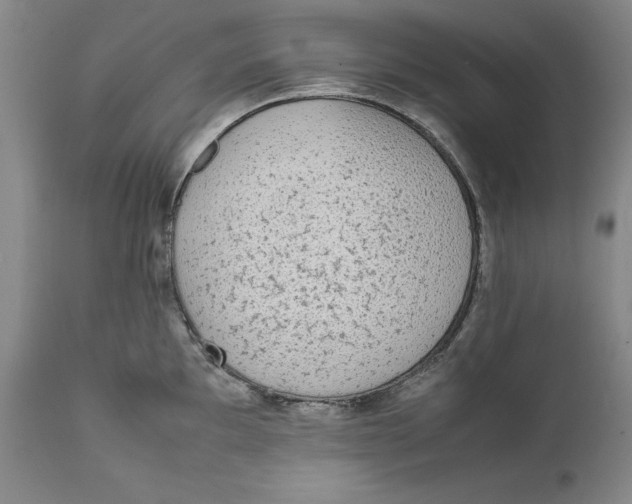 X0000111651097200908071401