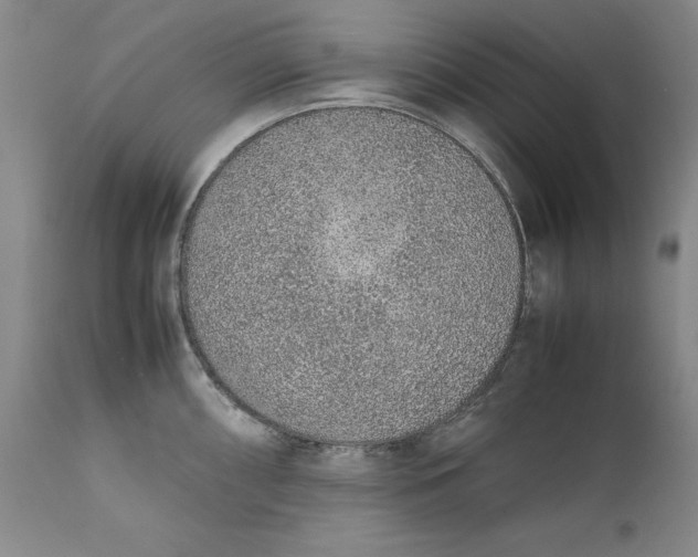X0000111651098200908071401