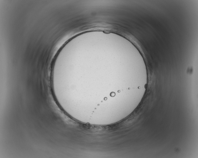 X0000111651099200908071401
