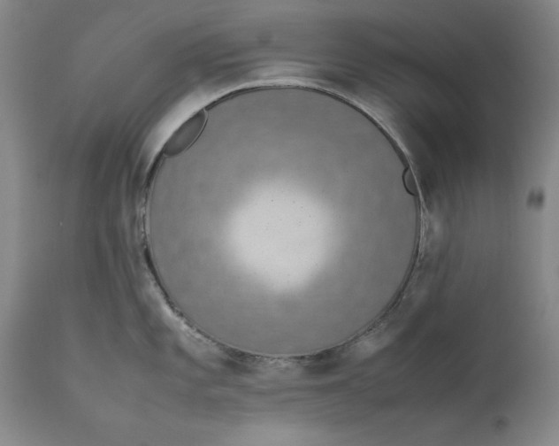 X0000111651101200908071401