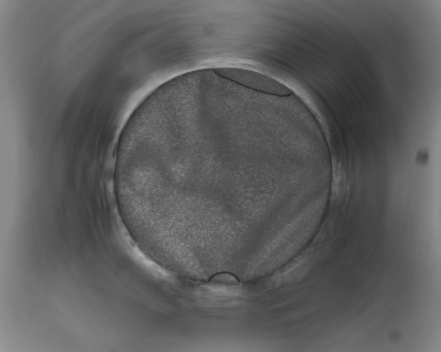 X0000111651102200908071401