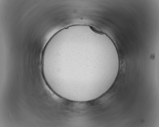 X0000111651103200908071401
