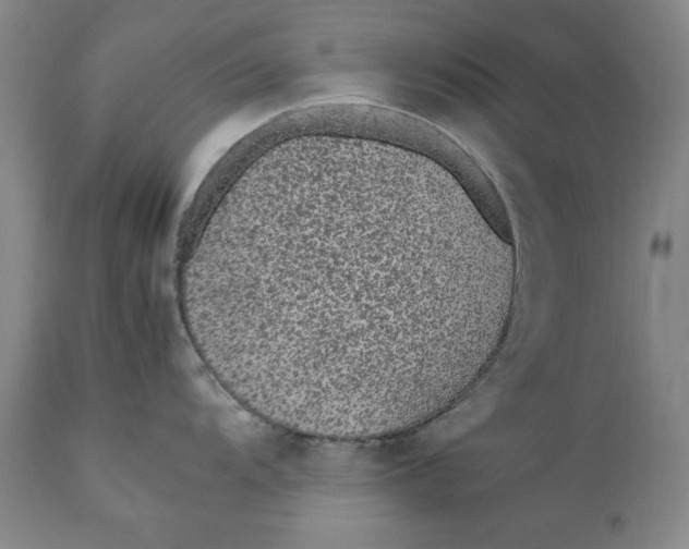 X0000111651104200908071401