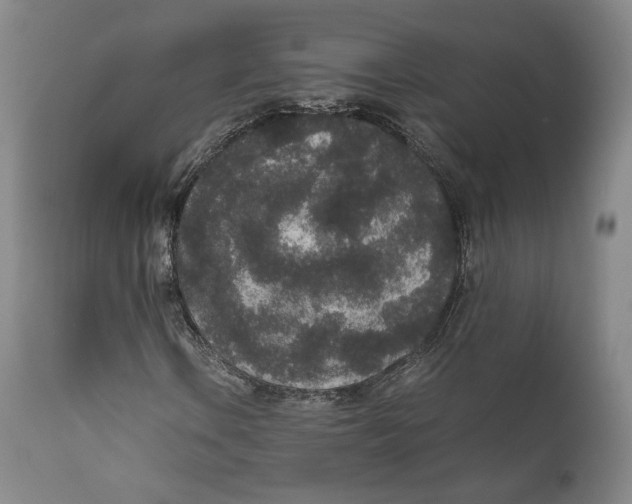 X0000111651106200908071400