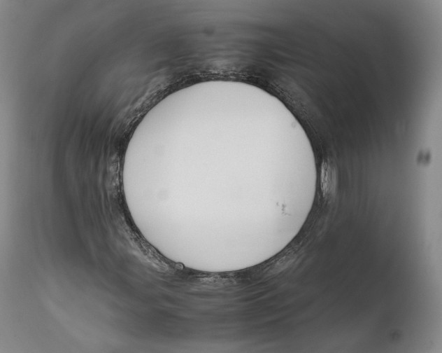 X0000111651107200908071400