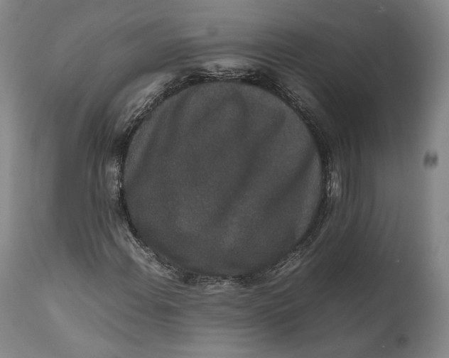 X0000111651108200908071400