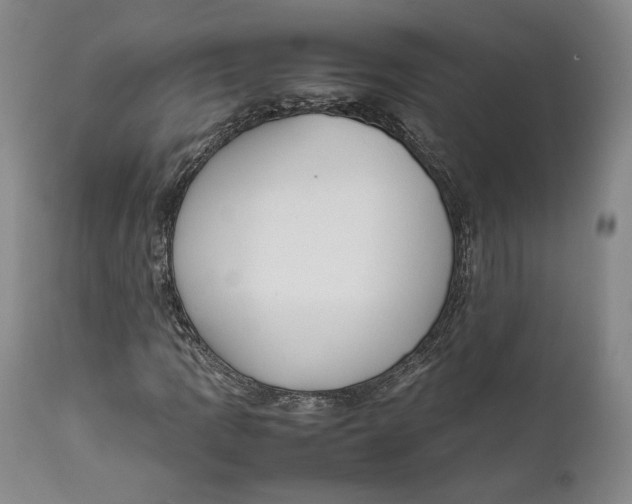 X0000111651109200908071400