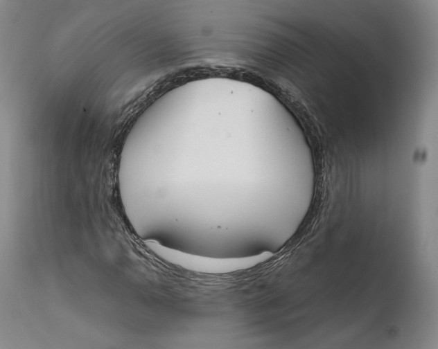 X0000111651110200908071400