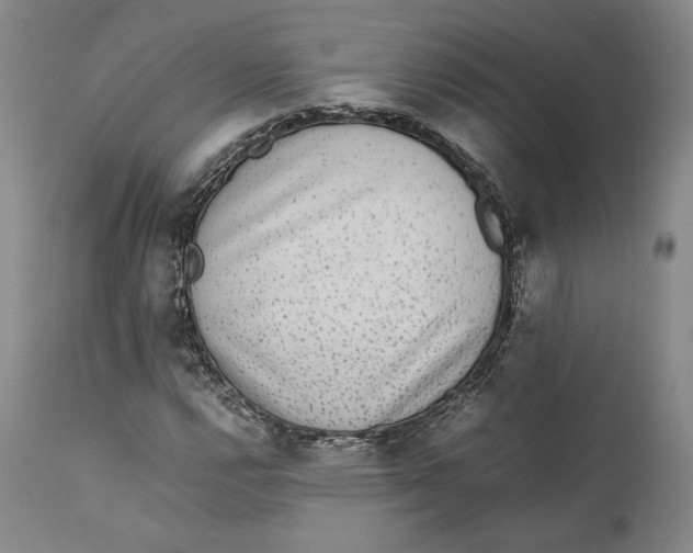 X0000111651112200908071400