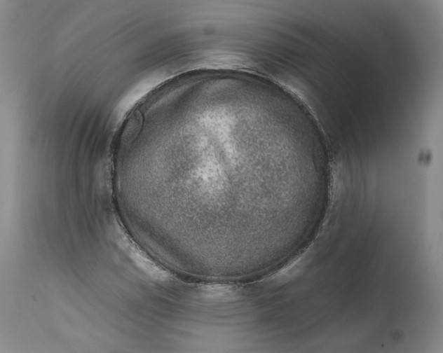 X0000111651114200908071400