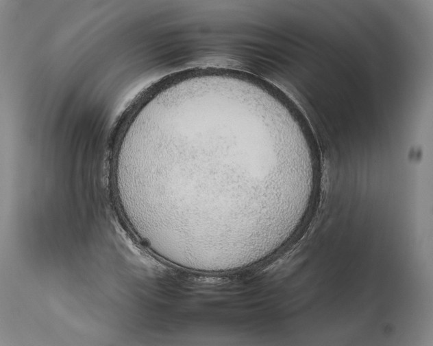 X0000111651115200908071401