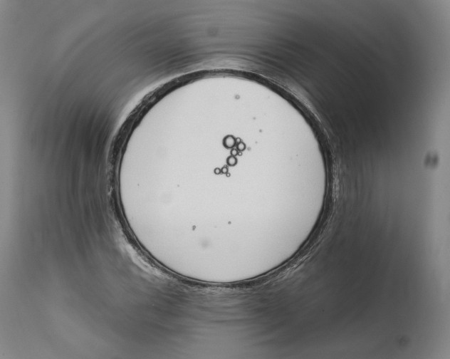 X0000111651116200908071401