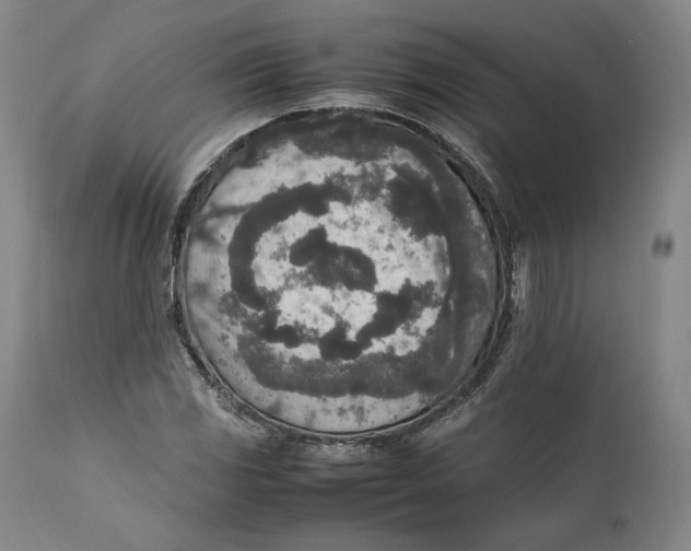 X0000111651117200908071401