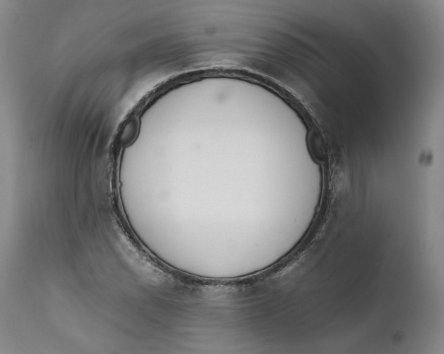 X0000111651118200908071401